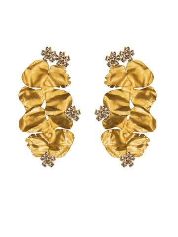 Flora Arabica | 5 |  Earrings